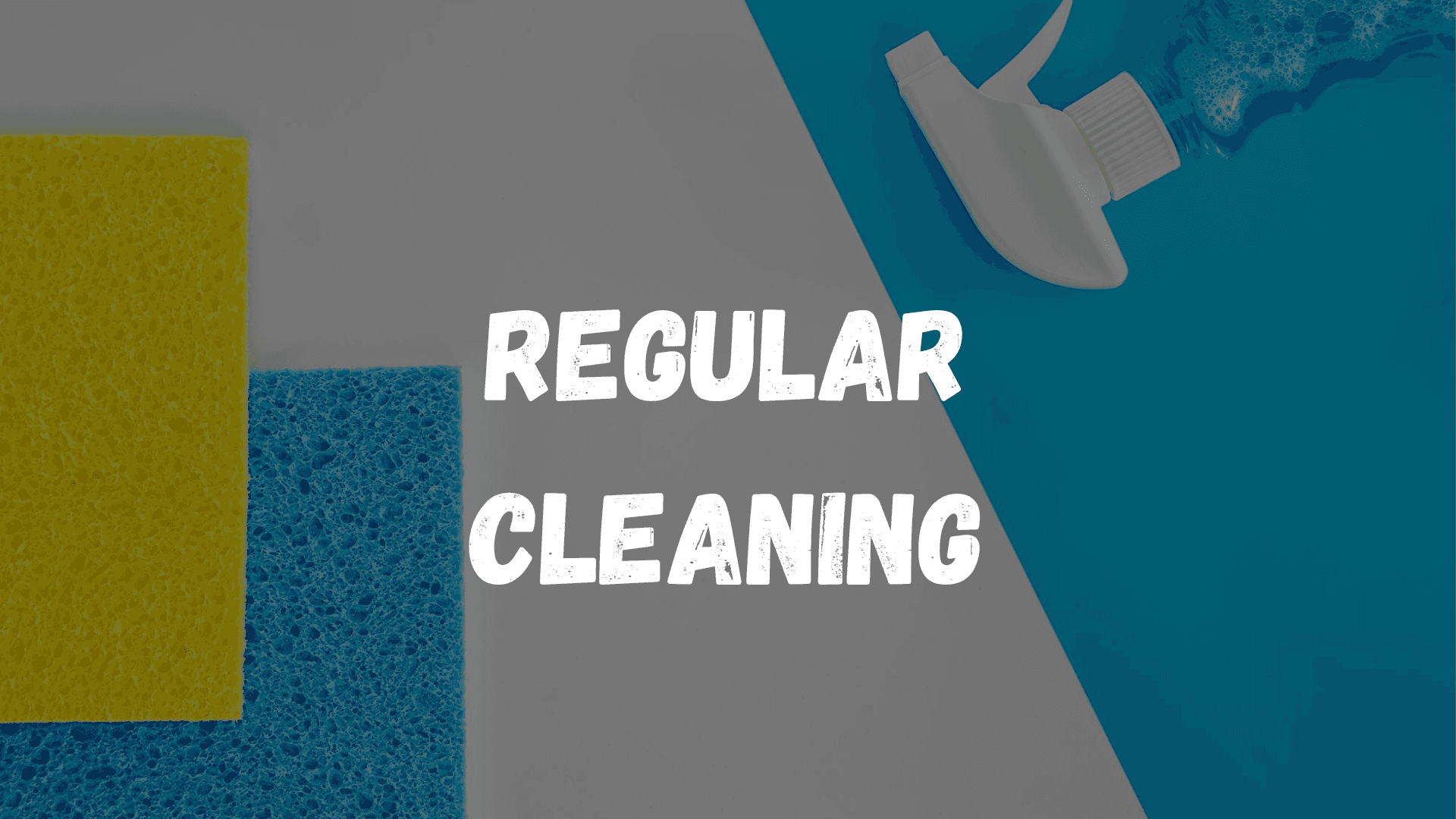 Regular Cleaning Newcastle